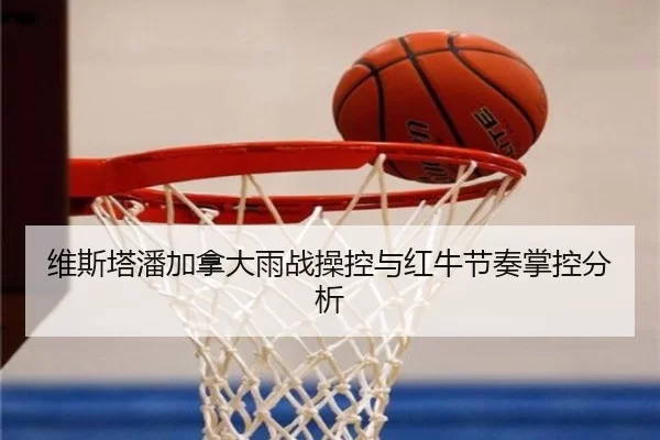 维斯塔潘加拿大雨战操控与红牛节奏掌控分析