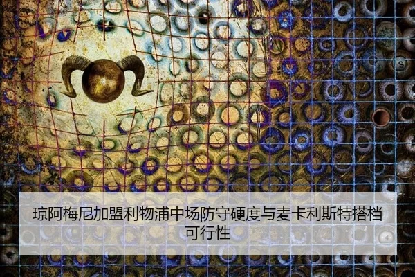 琼阿梅尼加盟利物浦中场防守硬度与麦卡利斯特搭档可行性