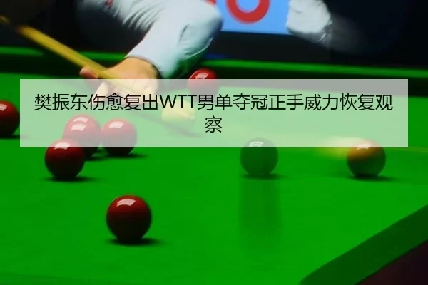 樊振东伤愈复出WTT男单夺冠正手威力恢复观察