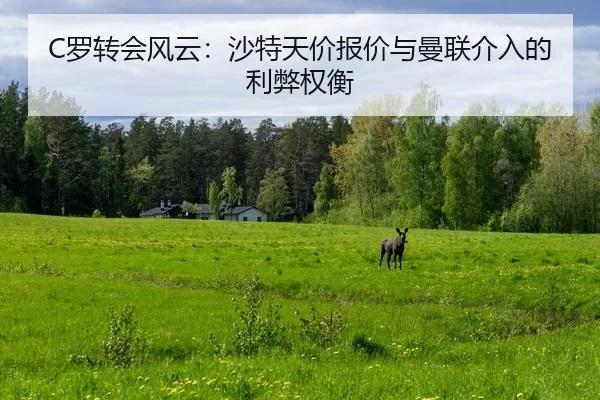 luo-zhuan-hui-feng-yun-sha-te-tian-jia-bao-jia-yu-man-lian-jie-ru-de-li-bi-quan-heng-2-950.jpg